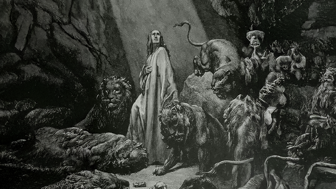 The Philosophy of Grace Amid the Wild: A Reflection on Strength and Serenity