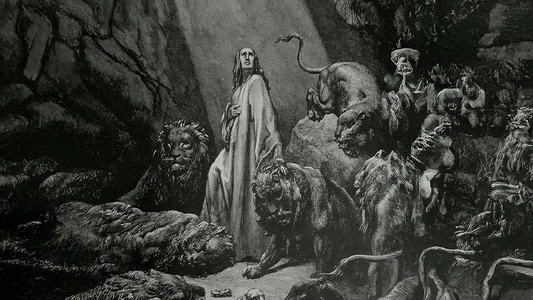 The Philosophy of Grace Amid the Wild: A Reflection on Strength and Serenity