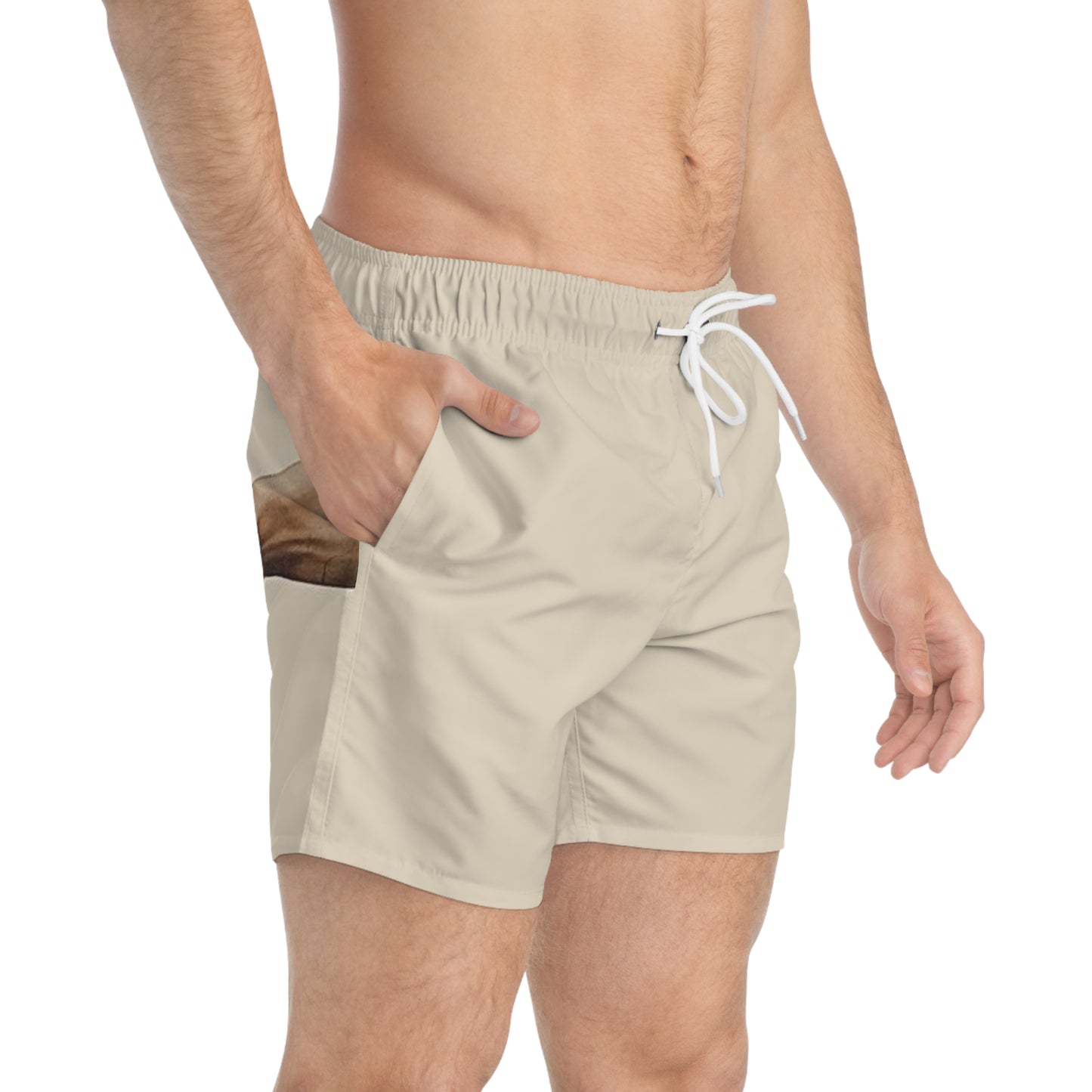 Funny Renaissance Painting Swim Shorts